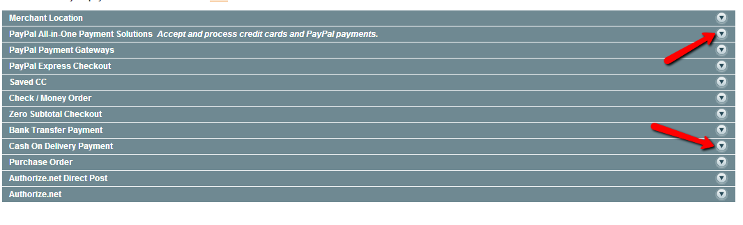 Magento Payment Options 
